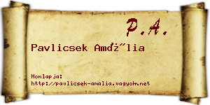 Pavlicsek Amália névjegykártya